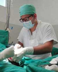 Dr. Palmisano